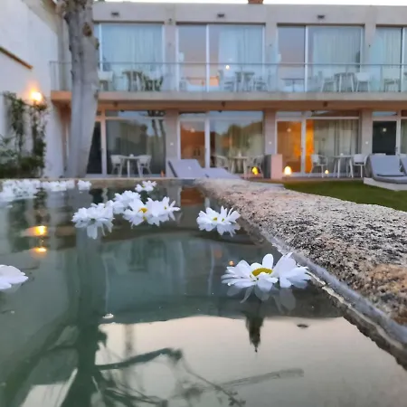 Oca Vitoria Village 아파트 포르투